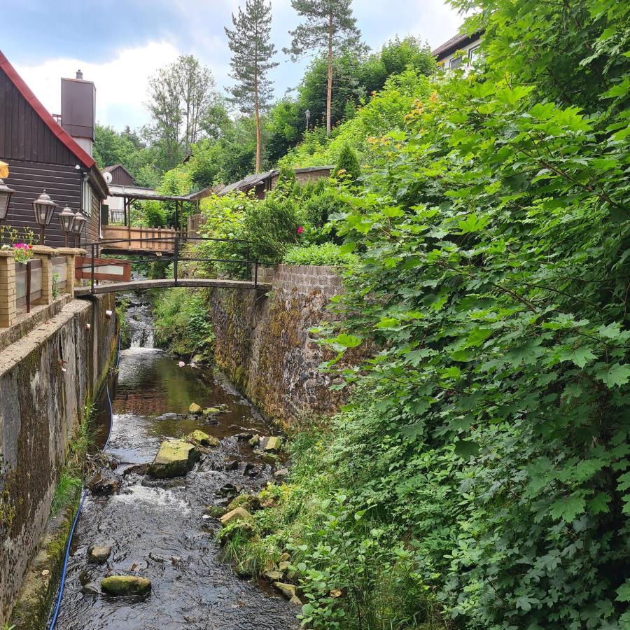 Harz Im Herzen Альтенау Экстерьер фото